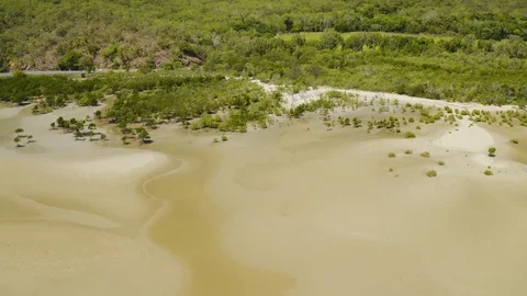 Aerial view on low tide, huge sand ocean bed and mangroves growing in Queensl 스톡 동영상 107195517