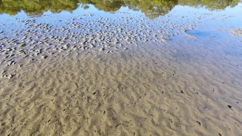 Aerial View of Low Tide Mud Flats and Mangrove Reflections Stock Footage 340966134