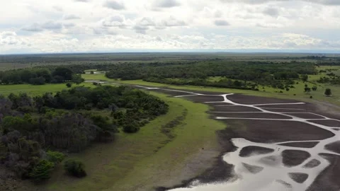 Aerial View of Low Water River in Savanna Wetlands, Llanos Orientales 스톡 동영상 345019152
