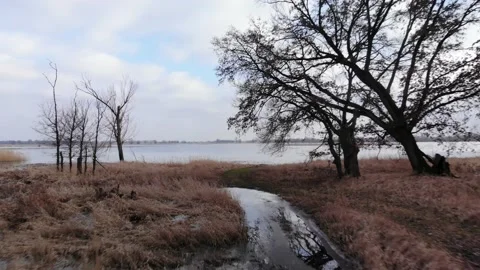 Aerial view of Lower Oder Valley in Poland Stock Footage 218431961