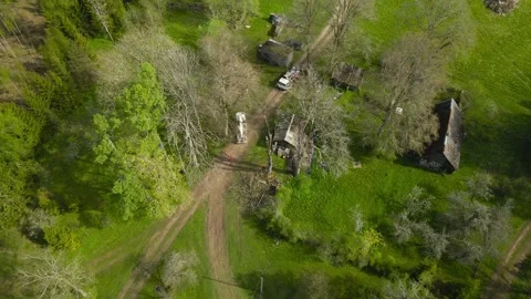 Aerial View of Lumberjacks Cutting Down a Dead Tree in a Rural Area Vídeos de archivo 336651086
