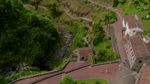 Aerial view of a lush botanical park landscape, featuring winding pathways 库存影片 335723055