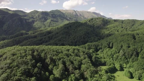 Aerial view of lush deciduous forest at the foot of the Caprpathian Mountains Stock Footage 336493341