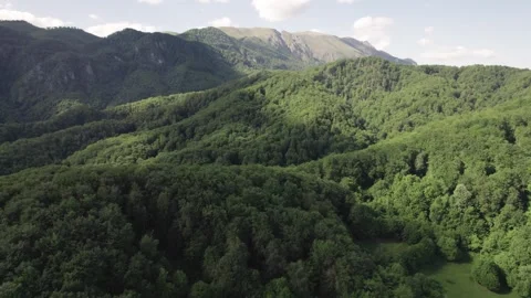 Aerial view of lush deciduous forest at the foot of the Caprpathian Mountains Stock Footage 336493342