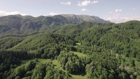 Aerial view of lush deciduous forest at the foot of the Caprpathian Mountains Stock Footage 336493388