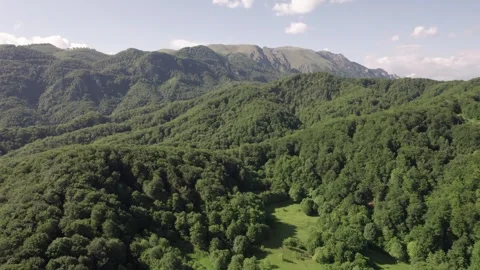 Aerial view of lush deciduous forest at the foot of the Caprpathian Mountains 動画素材 336493401