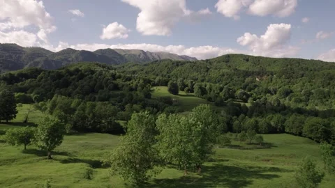 Aerial view of lush deciduous forest at the foot of the Caprpathian Mountains 스톡 동영상 336493478