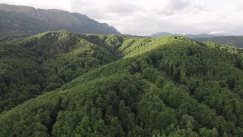 Aerial view of lush deciduous forest at the foot of the Caprpathian Mountains Vídeos de archivo 336493534