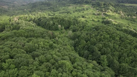 Aerial view of lush deciduous forest at the foot of the Caprpathian Mountains Video stock 336493540