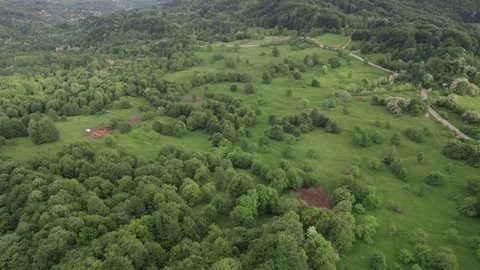 Aerial view of lush deciduous forest at the foot of the Caprpathian Mountains Stock Footage 336493555