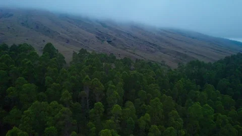 Aerial view of lush forest and misty mountain slopes in Indonesia. Stock Footage 337092468