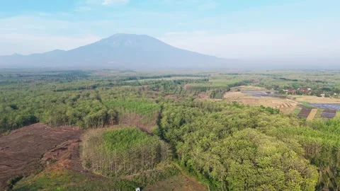 Aerial View of Lush Forest and Mountain Stock Footage 346480818
