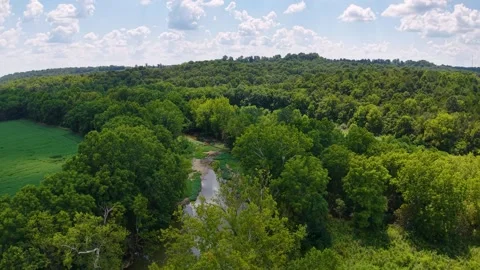 Aerial view of a lush forest with clear trails, no visible serpent mound or Stock Footage 336509015