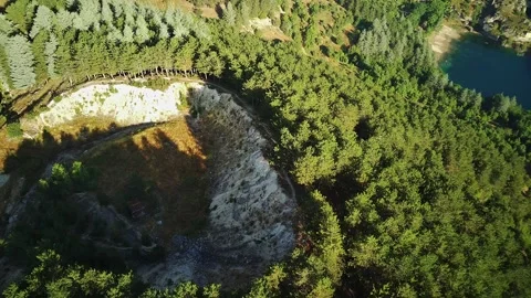Aerial View of a Lush Forest Overlooking a Sunlit Clearing at Dawn Stock Footage 280313225