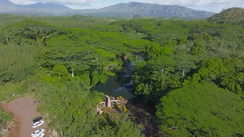 Aerial View of Lush Forest, River, and Waterfall on Kauai Island Stock Footage 300856470