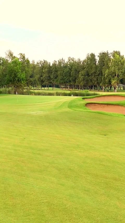 Aerial view of a lush golf course surrounded by trees at sunset Stock Footage 302279493