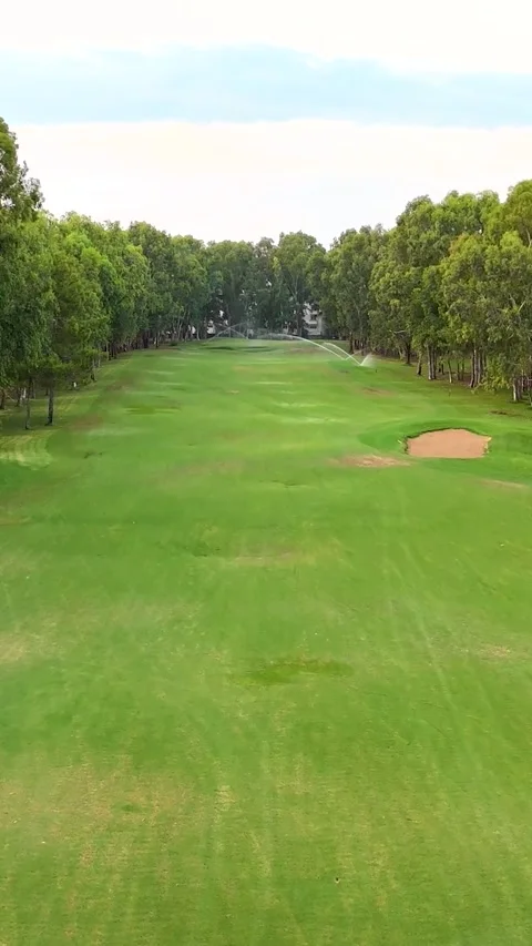 Aerial view of a lush golf course surrounded by trees at sunset Stock Footage 302279510