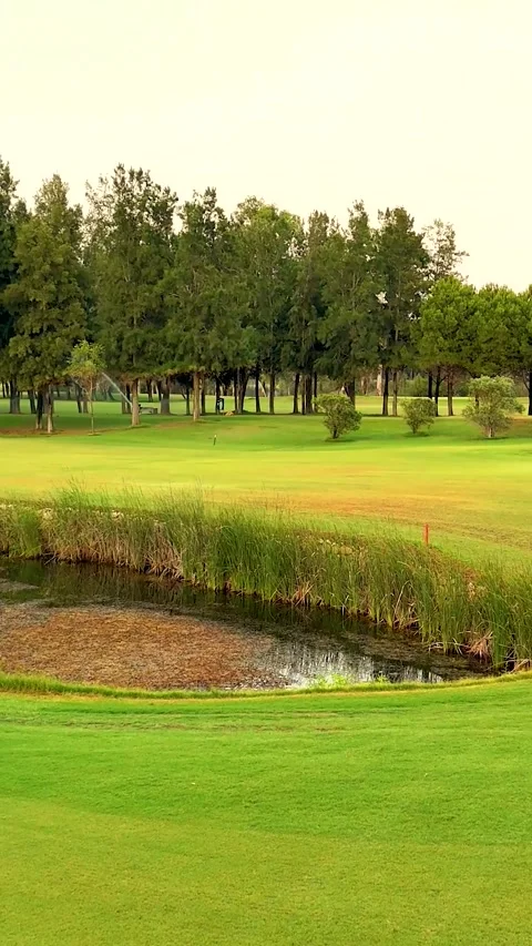 Aerial view of a lush golf course surrounded by trees at sunset Stock Footage 302279528