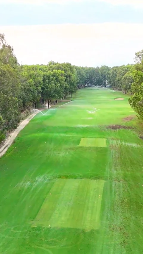 Aerial view of a lush golf course surrounded by trees at sunset Stock Footage 302279542