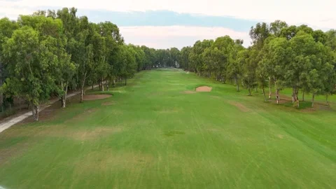 Aerial view of a lush golf course surrounded by trees at sunset Stock Footage 302279833