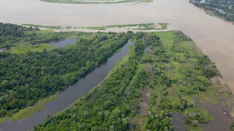 Aerial View of Lush Green Amazon Rainforest Stock Footage 330925692