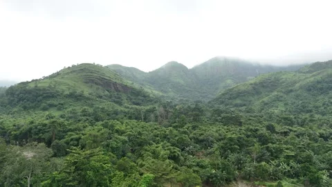 Aerial view of lush green cliffs and misty mountains at Wli Falls, Ghana 動画素材 329813468