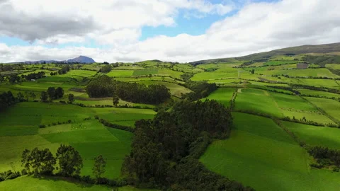 Aerial View of Lush Green Fields in Ecuador 库存影片 231488928