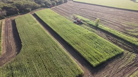 Aerial view of lush green fields with agricultural equipment in operation during Stock Footage 288978523