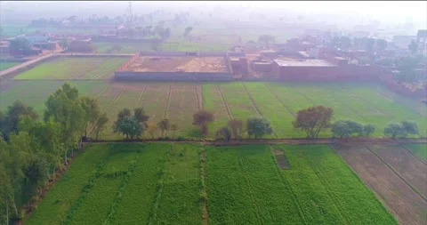 Aerial view of lush green fields and plains in the Punjab countryside Stock Footage 298157341