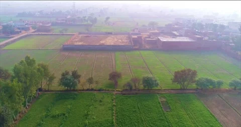 Aerial view of lush green fields and plains in the Punjab countryside 스톡 동영상 298158109