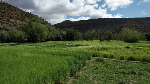 Aerial View of Lush Green Fields and Traditional Farmland in Aqsseri, Agadir Stock Footage 307480868
