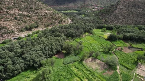 Aerial View of Lush Green Fields and Traditional Farmland in Aqsseri, Agadir Stock Footage 307480982