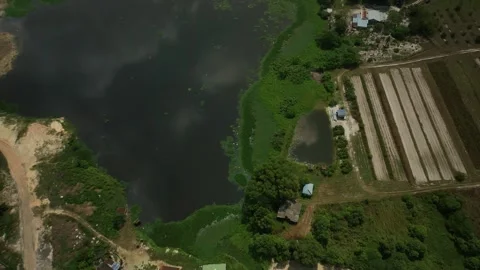 Aerial View of Lush Green Fields Next to Tranquil Water Body Surrounded by Rural Stock Footage 316449479
