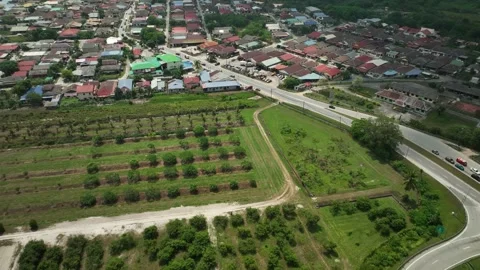 Aerial View of Lush Green Fields and Residential Area Surrounded by Scenic Stock Footage 316449560