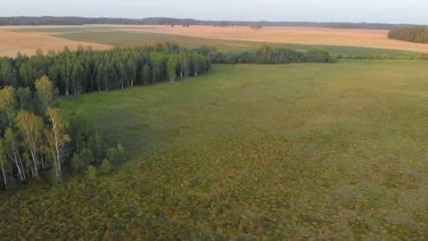 Aerial View of Lush Green Fields and Forests in Rural Lithuania at Sunset Video stock 321759451