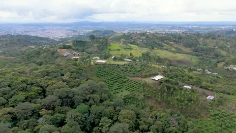 Aerial View of Lush Green Fields and Urban Landscape in Popayán Stock Footage 329904268