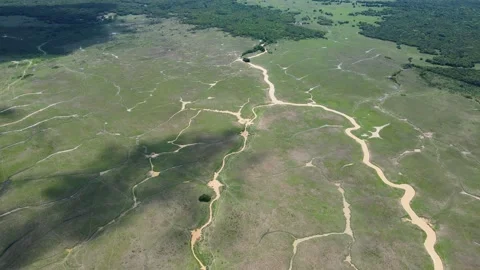 Aerial view of lush green fields in Casanare, Colombia Video stock 330516867