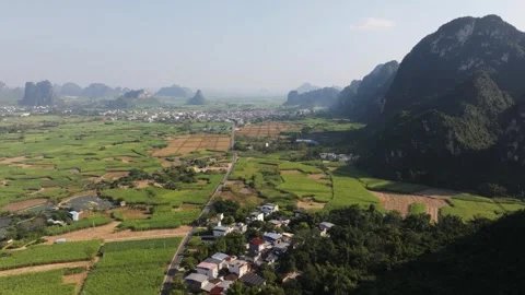 Aerial View of Lush Green Fields and Karst Mountains in Guangxi, China Video stock 336711278