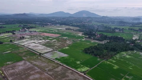 Aerial view of lush green fields and distant mountains Video stock 339830091