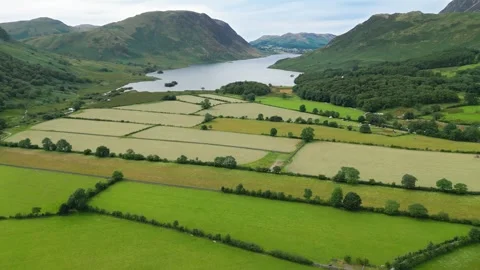 Aerial view of lush green fields and serene lake surrounded by mountains Stock Footage 345523735