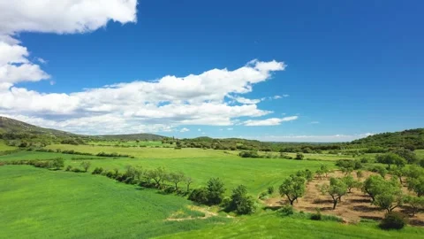 Aerial view of lush green fields and rolling hills near Bierge in the province Stock Footage 346667416