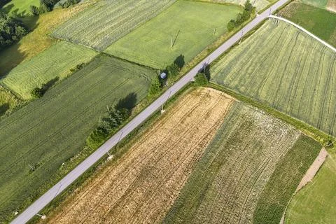Aerial view of lush green fields with a winding road, showcasing agricultural Stock Photos