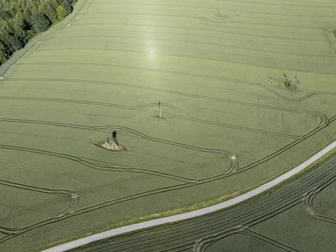 Aerial view of lush green fields with winding roads and patterns from farm Stock Photos