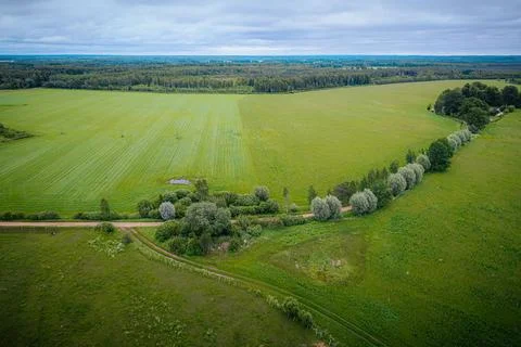 Aerial view of lush green fields with tree lines and a winding dirt road, s.. Stock Photos