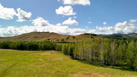 Aerial view of lush green forest and rolling hills under bright blue sky Stock Footage 314285720