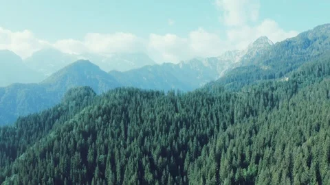 Aerial View of Lush Green Forest and Rolling Mountains Stock Footage 323301347