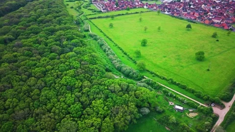 Aerial view of lush green forest beside residential area and open pasture lan Stock Footage 337746793