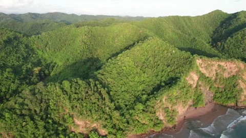 An aerial view of the lush, green mountains of Paria, Venezuela's coast Stock Footage 320094792