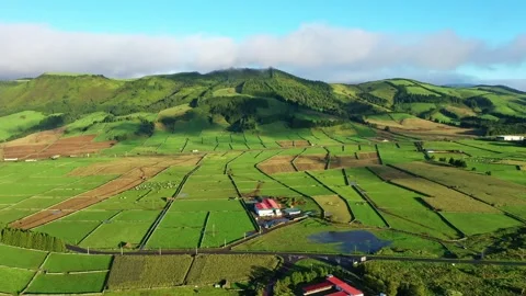 Aerial view of lush green patchwork fields and rolling hills, Portugal. 스톡 동영상 331856037