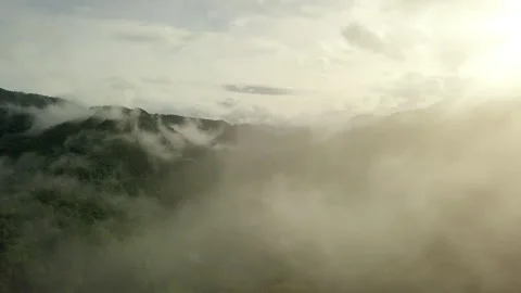 Aerial View of Lush Green Rain Forest Mountain Stockbeeldmateriaal 248340257